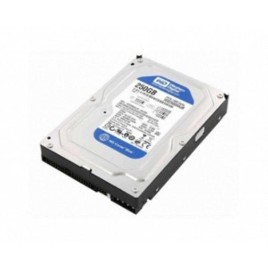 картинка Жесткий диск Western Digital 250 Gb 8 Mb IDE от магазина Интерком-НН