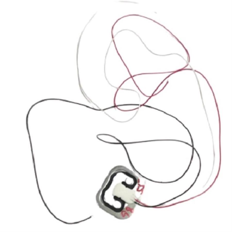 картинка Polaris PWS 1521-01-25-0-0-0 Датчик веса для весов  от магазина Интерком-НН