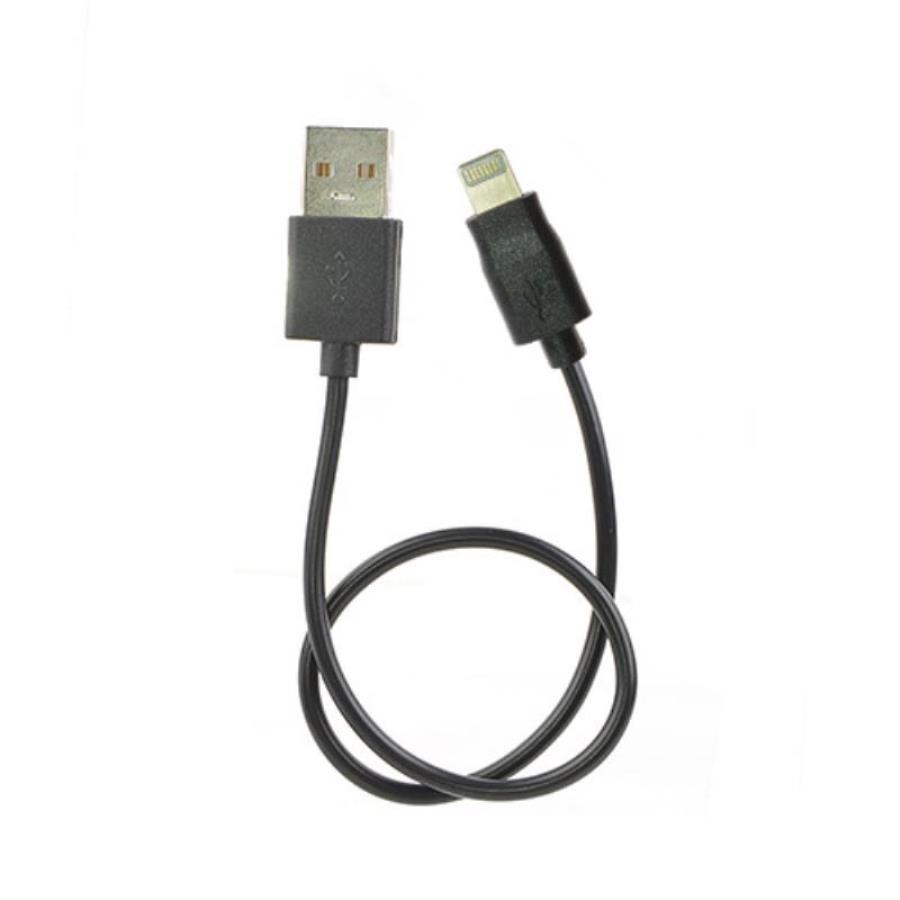 картинка Кабель USB Robiton P16 USB - Apple 8pin (Lightning) для заряда портативных устройств, 0.3м, черный от магазина Интерком-НН