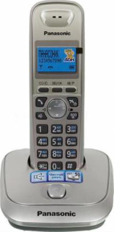 картинка Panasonic KX-TG2511RUN - Беспроводной телефон DECT (радиотелефон) , цвет: Платиновый (N)  от магазина Интерком-НН