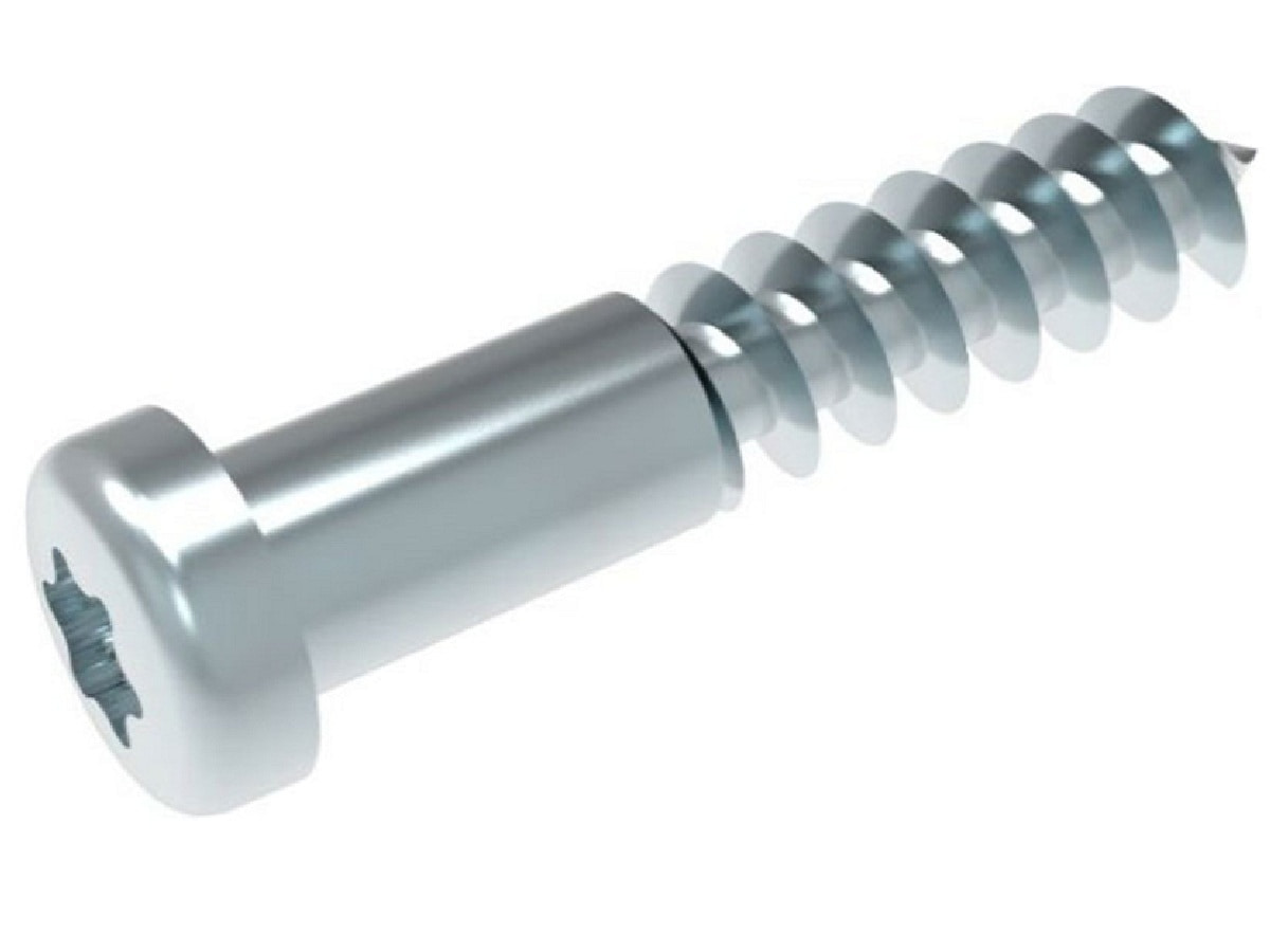 картинка Bosch 10003574 Винт для холодильника Bosch от магазина Интерком-НН