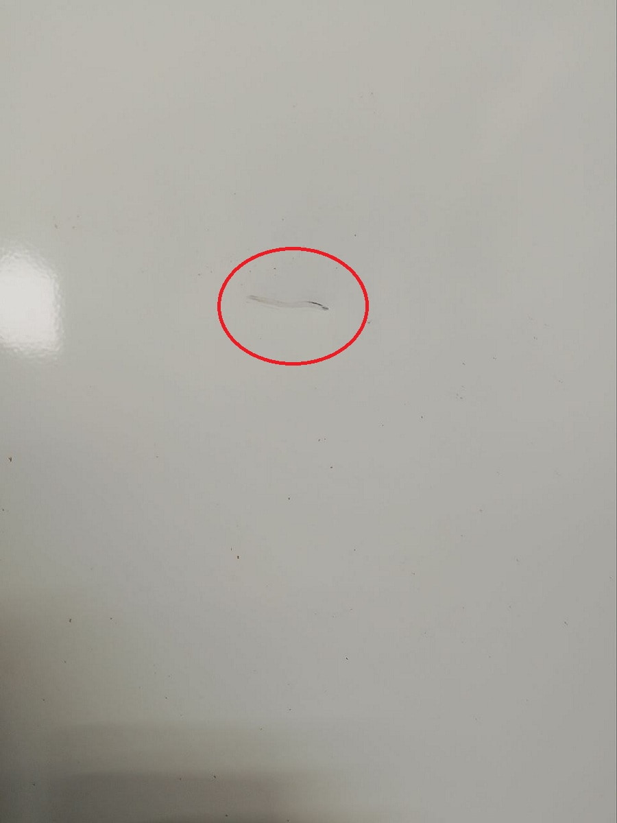 картинка Атлант (Atlant) 202773004108 Уценка Дверь морозильной камеры  от магазина Интерком-НН