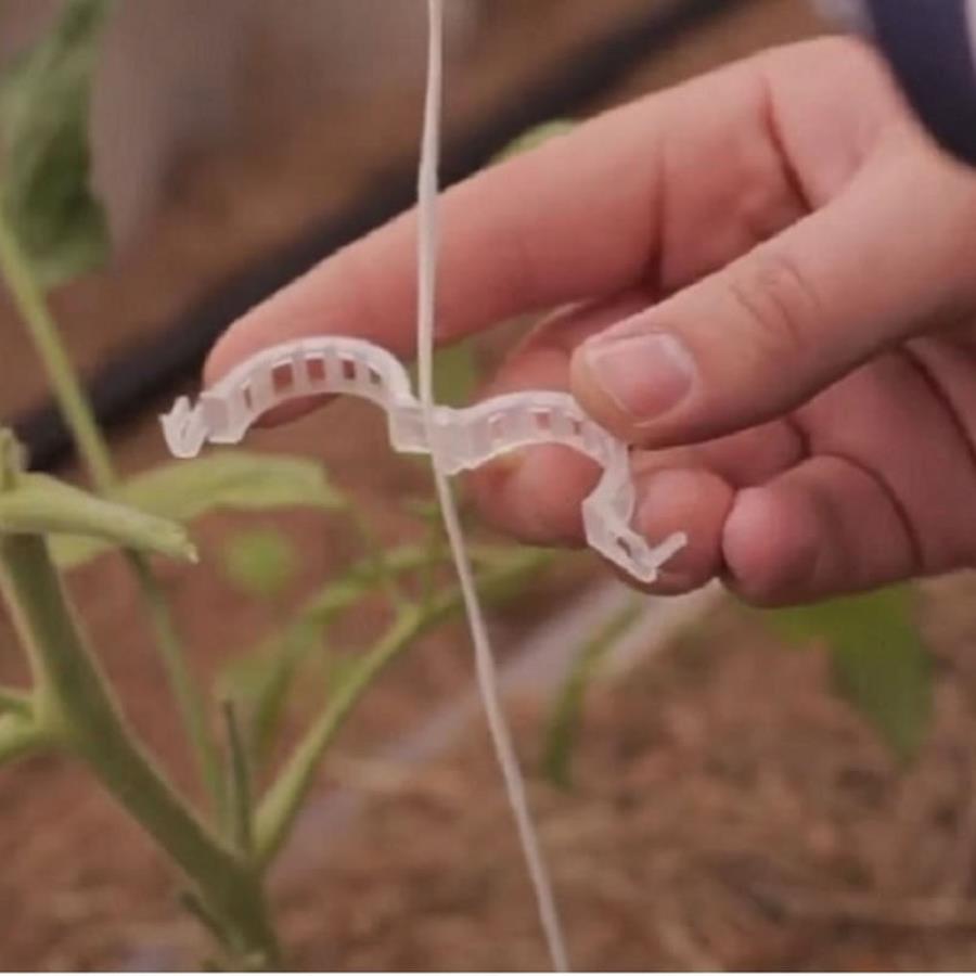 картинка Садовые клипсы (зажимы для фиксации) 25мм для подвязывания растений 50 шт от магазина Интерком-НН