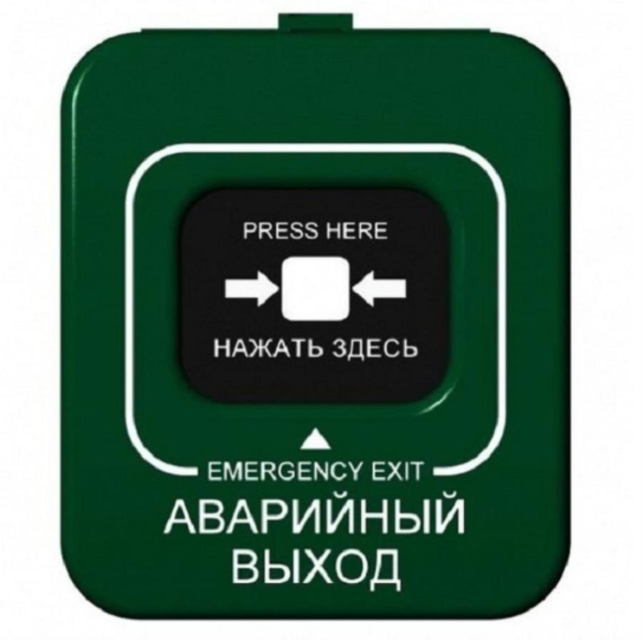 картинка ИОПР 513/101-3 "Аварийный выход" с крышкой от магазина Интерком-НН